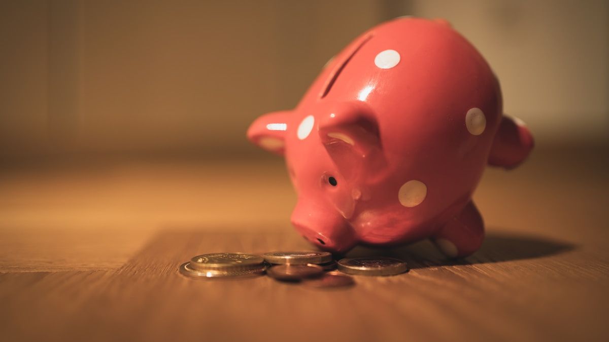 Best HYSA for Newcomers: SSN, ITIN, and First Savings Steps